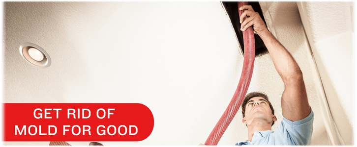 Air Duct Mold Removal in Pearland