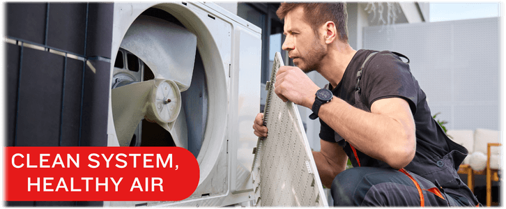 HVAC Mold Removal Pearland
